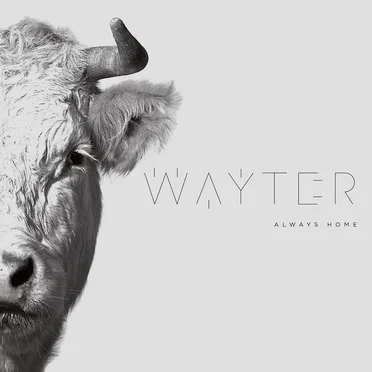 Always Home by Wayter - album cover