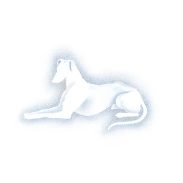 Bruises Off the Peach (live performance)