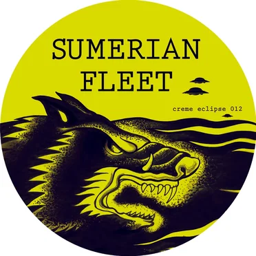 Sturm Bricht Los by Sumerian Fleet - album cover