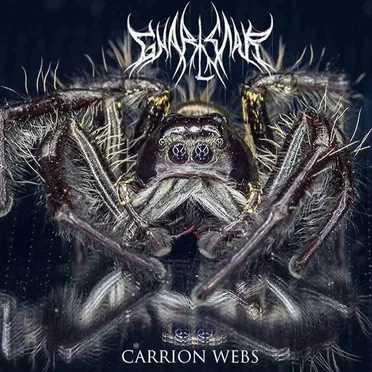 Carrion Webs