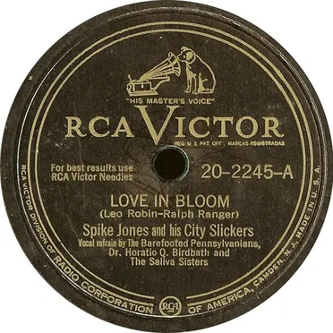 Love in Bloom / Blowing Bubble Gum