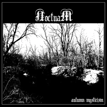 Noctuam