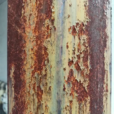sexy:rust