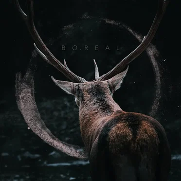 Boreal by As Seas Exhale - album cover