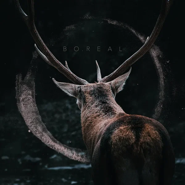 Boreal