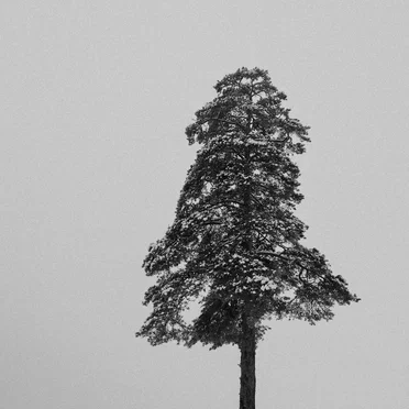 Modular live recording #7