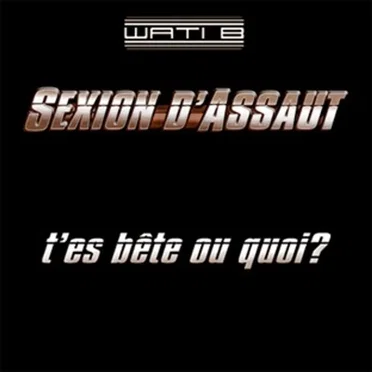 T'es bête ou quoi ?