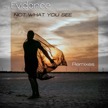 Not What You See (remixes)