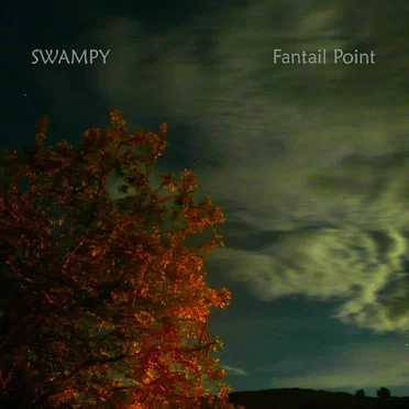 Fantail Point by Swampy - album cover