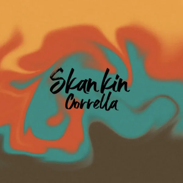 Skankin