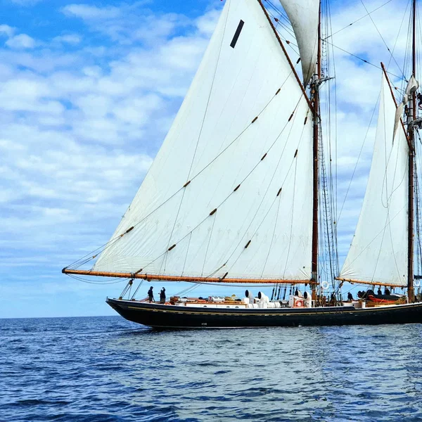 Shiptender