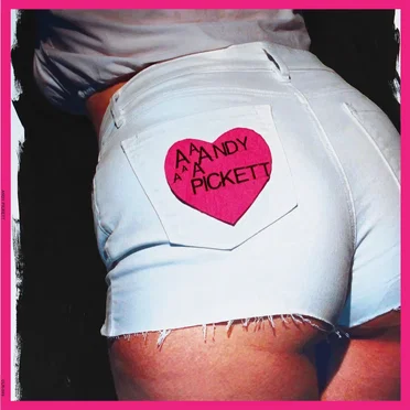 Andy Pickett by Andy Pickett - album cover
