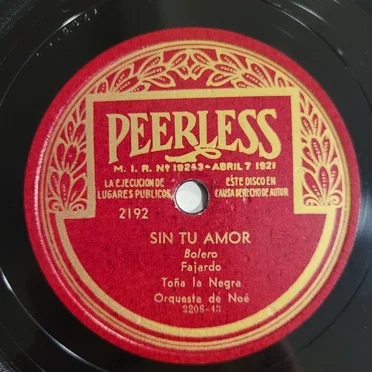 Sin tu amor / Pensando en tí