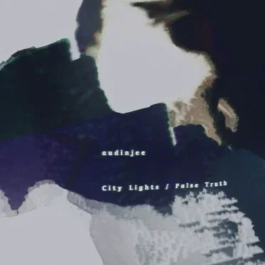 City Lights / False Truth by Audinjee - album cover