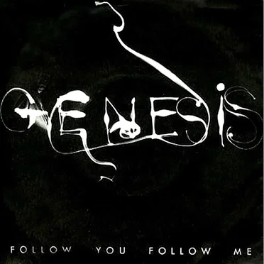 Follow You Follow Me