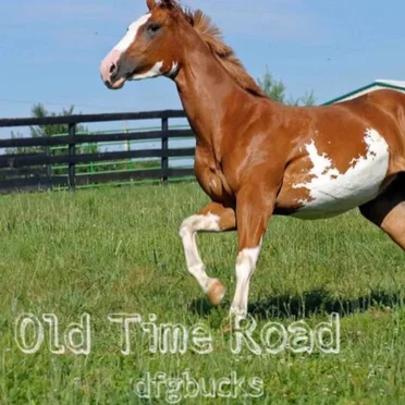 Old Time Road by dfgbucks - album cover