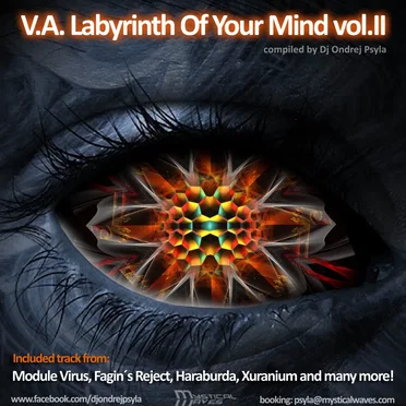 Labyrinth Of Your Mind Vol.II by Various Artists - album cover