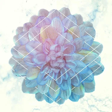 To Feel Alive by A Sense of Purpose - album cover