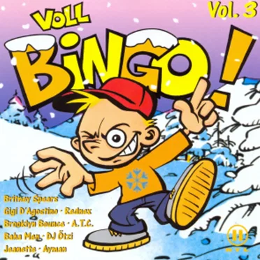 Voll Bingo! Vol. 3 by Various Artists - album cover