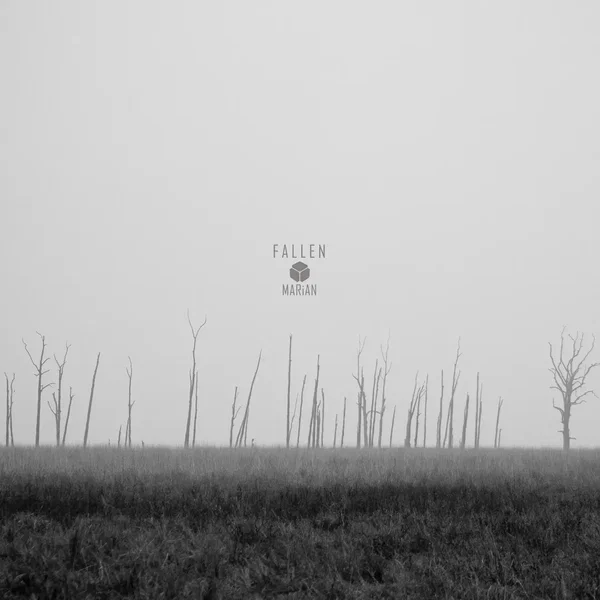 Fallen