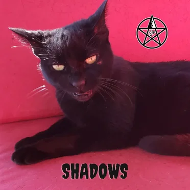 Shadows