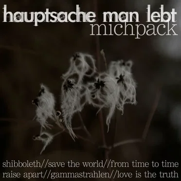 Hauptsache Man Lebt by Michpack - album cover