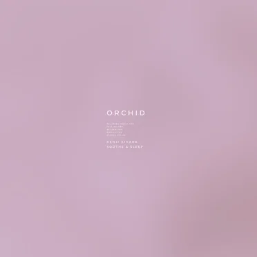 Orchid