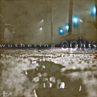 Wuthering Nights