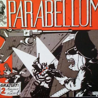 1984-2004 : Plus qu'un best of... l'histoire du punk français à travers son groupe le plus représentatif...