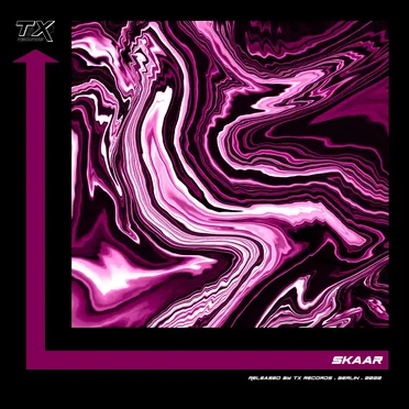 New Era by SkaaR - album cover