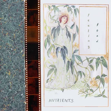 Feeling Fond by Nutrients - album cover