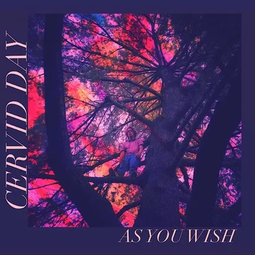 As You Wish by Cervid Day - album cover