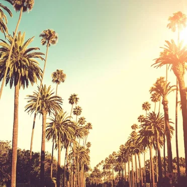 Ballad of Beverly Hills