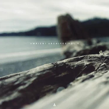 Ambient Archives Vol. 5 by Various Artists - album cover