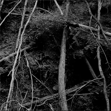 Breach