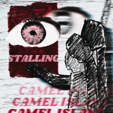 Stalling by Camel Island - album cover
