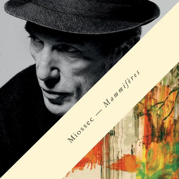 Mammifères