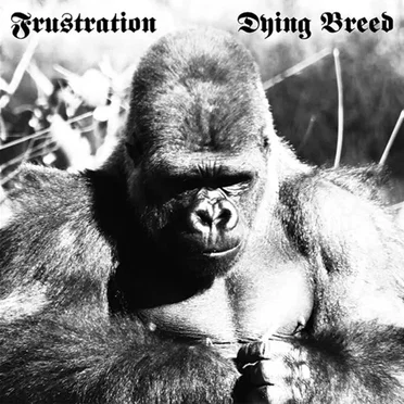 Dying Breed by Frustration - album cover