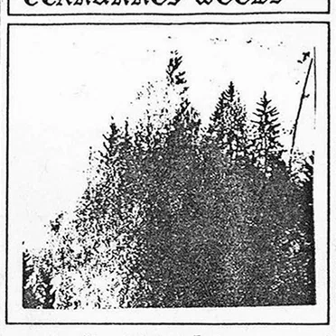 Lost Woods by Cernunnos Woods - album cover