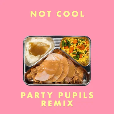 Not Cool (Party Pupils remix)