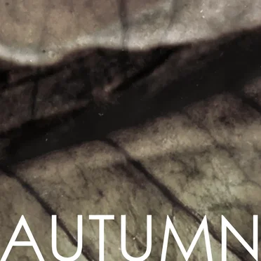 AUTUMN o2 by and all was bright - album cover