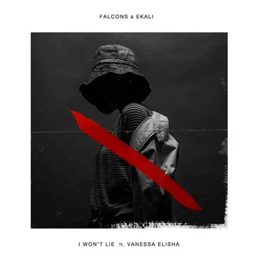I Won't Lie