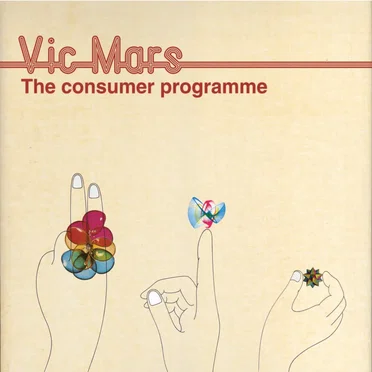 The Consumer Programme