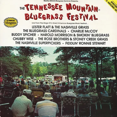 The Tennessee Mountain Bluegrass Festival by Various Artists - album cover