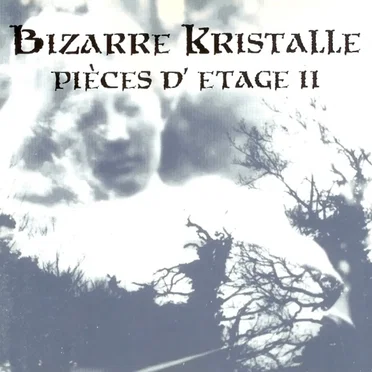 Bizarre Kristalle - Pièces D'Etage II by Various Artists - album cover