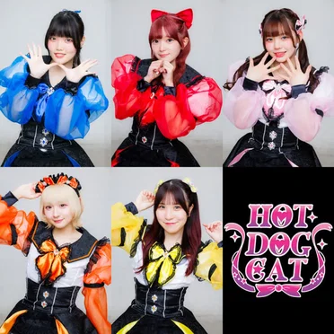 楕円形メリーゴーラウンド (2025 version) by HOT DOG CAT - album cover