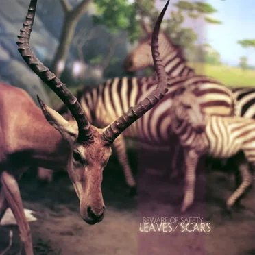 Leaves/Scars by Beware of Safety - album cover