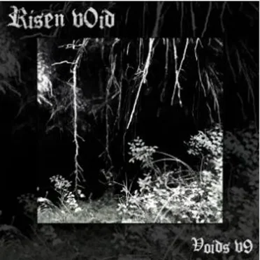 Voids v9 by Risen v0id - album cover