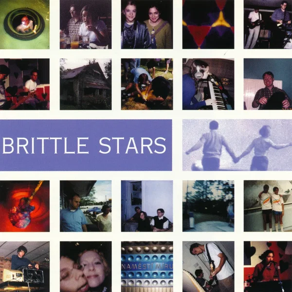 Brittle Stars