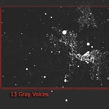 13 Gray Voices